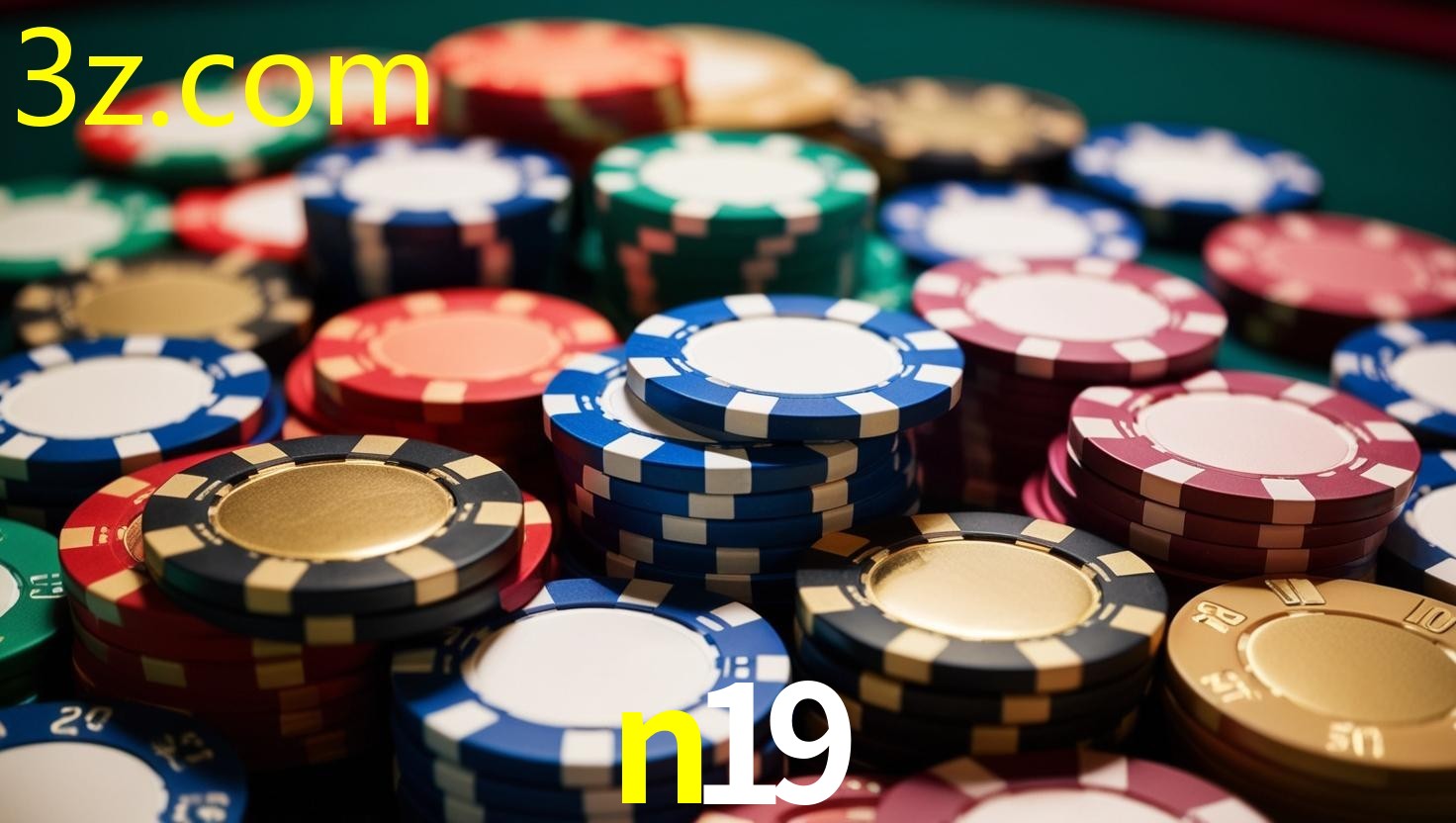 N19.COM